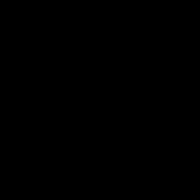 Client 13